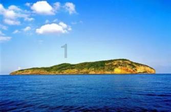 1月出口额预计突破亿元实现“开门红”