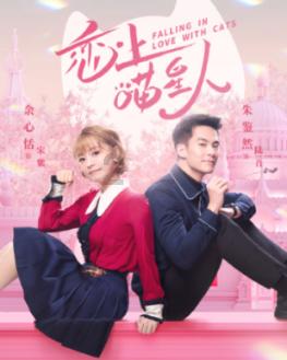 《三国志·战棋版》10个S5还非常有用的非核心盘点，强度堪比核心